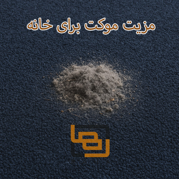 مزیت موکت برای خانه | جذب گرد و خاک توسط پالاز موکت